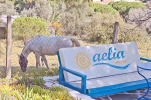 Aelia Studios Skiathos Greece