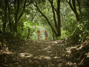 Appartements Rez-de-chaussee renove avec jardin clos, a 1,6 km de la plage, ideal pour 2 adultes et 2 enfants - FR-1-364-142 : photos des chambres