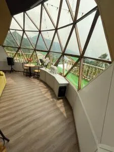 Nuevo Domo de Lujo con JACUZZI trae tu MASCOTA - 诺凯马