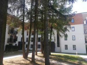 Apartament przy tężni