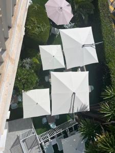 Appart'hotels Residence Carlton - Renovee avec Piscine : photos des chambres