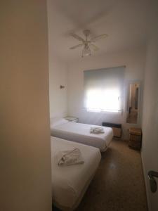 El Palmar - Denia