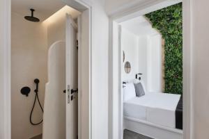 Maestro Villas Naxos