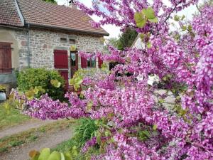 Maisons de vacances Les Pervenches : photos des chambres