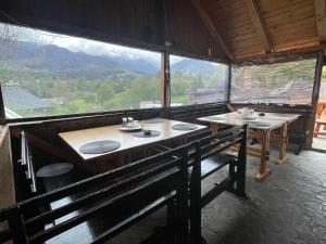 Casa Hoinarilor Wanderers House