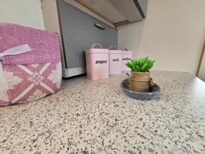 Little White House img17