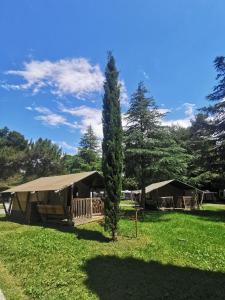 Camping Adria - Glamping Tent 