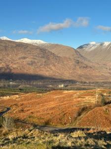 The Nest Glamping Pod