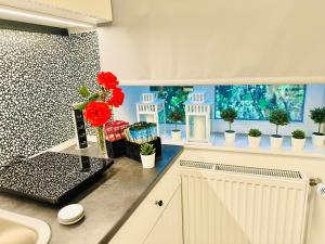 Bri Central Apartment