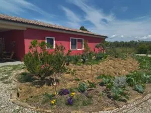 Le Dimore Rosse - Agriturismo - Vignale