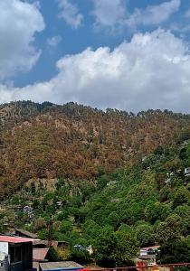 Pathgami homestay kainchi dhaam