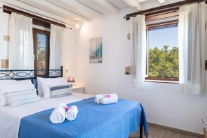 Blue Vista Triple Apartment