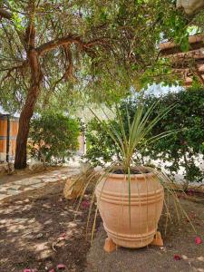 Orestis Family House