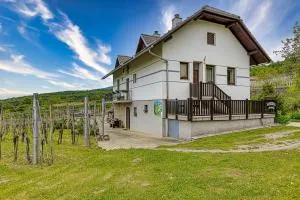Vineyard Homestead Vrtin - Happy Rentals - Koprivnik