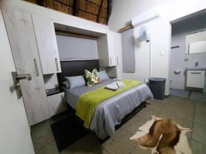 Hippos Honk at Kruger