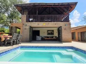 Hippo's Honk at Kruger - Coquiça