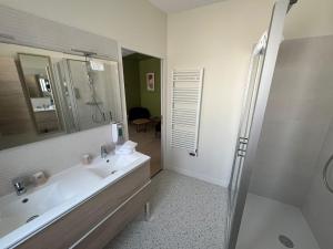 Hotels Hotel Le Blason : Suite Junior