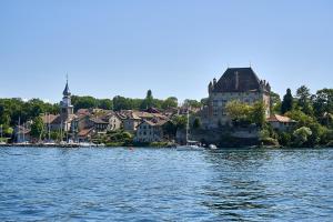 Villas Villa 5*, 15 personnes, Piscine a 20 min de Geneve : photos des chambres