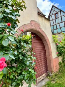 Sweet home Kaysersberg