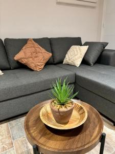 Appartements Sweet home Kaysersberg : photos des chambres