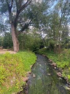Klimatyczny Domek nad Złotym Potokiem - Góry Opawskie