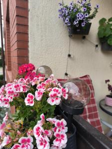 Apartament 25 Mikołajki