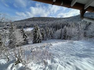 Maisons de vacances Panoramika - Maison pour 14 vue montagne : photos des chambres