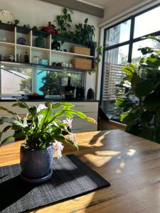 Jan Juc Garden Sanctuary Steps from the Surf