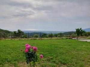 Rias Appartment Egani