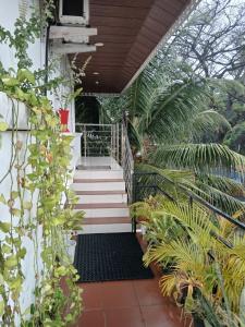 annies inn homestay