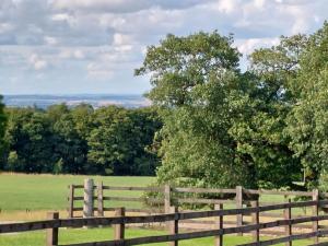 High Whashton Springs Glamping Pod, Richmond Yorks
