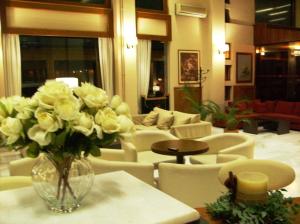 Hotel Pantheon Ilia Greece