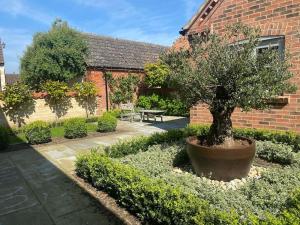 Orchard Cottage