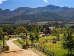 Extraordinary Barn Loft at Animal Sanctuary