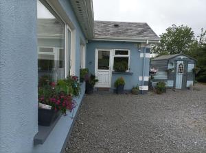 Clifden Wildflower Cottage - Clifden Countryside Lettings