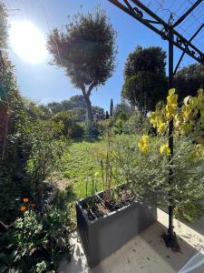 Appart'hotels Residence de charme a Grasse : photos des chambres