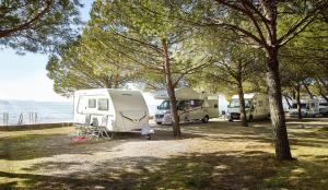 Camping Adria Ankaran - Pitches