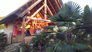 Glamping for couples in tent, Camp Eucalyptus Slovenia 