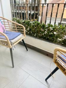 Palmeras Puerto en beach