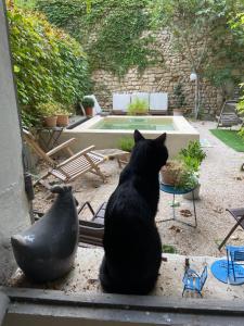 Maisons de vacances La Capucine : photos des chambres