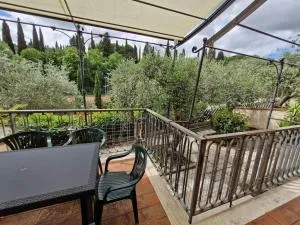 Maya house - Spineta