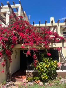 Falesia Beach Town house 2 bedroom