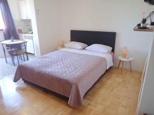 Apartment in Starigrad-Paklenica 50110