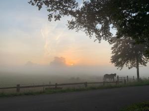 Ferienwohnung am Thalenbusch