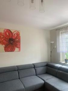 Apartament Victoria 2 Kielce Osiedle Kochanowskiego TARGI Kielce