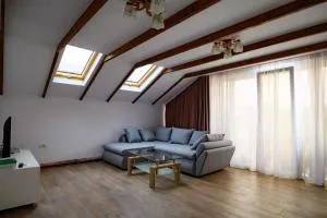 Luxury attic - Zigoneni