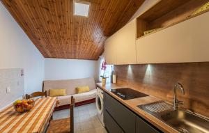 Nice Apartment In Medulin With Kitchen