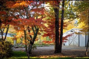 Peony Farm Pink Cottage