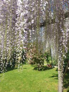 B&B Tenuta Campo Magliano