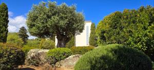 Hotels Hotel Cala di l'Oru : photos des chambres